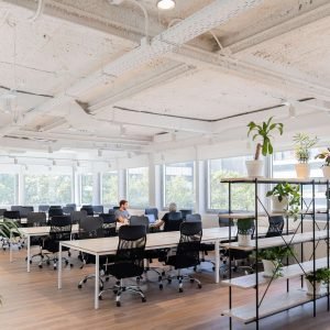 Aticco Maria de Molina Coworking Madrid